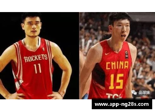 NBA球员站立摸高排名及其影响因素分析