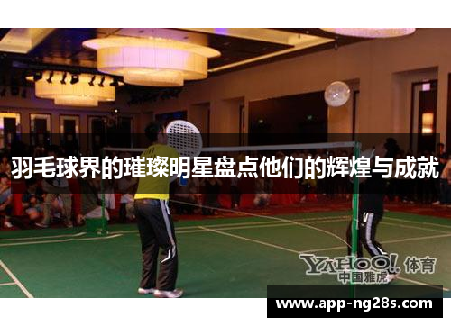 羽毛球界的璀璨明星盘点他们的辉煌与成就