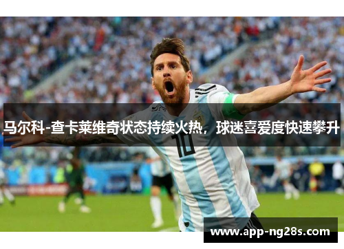 马尔科-查卡莱维奇状态持续火热，球迷喜爱度快速攀升