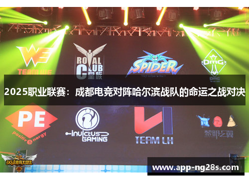 2025职业联赛：成都电竞对阵哈尔滨战队的命运之战对决
